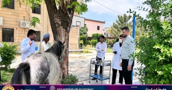 كلية البيطري تستقبل حالة مرضية .