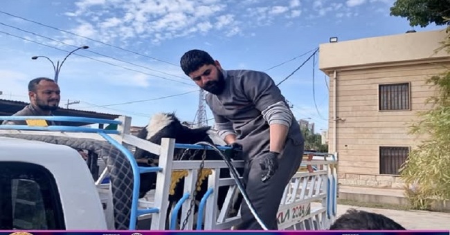 كلية البيطري تستقبل حالة مرضية .