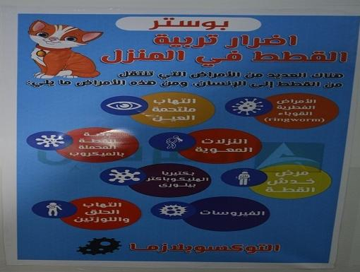 Organizing volunteer work to post posters inside the college’s corridors.