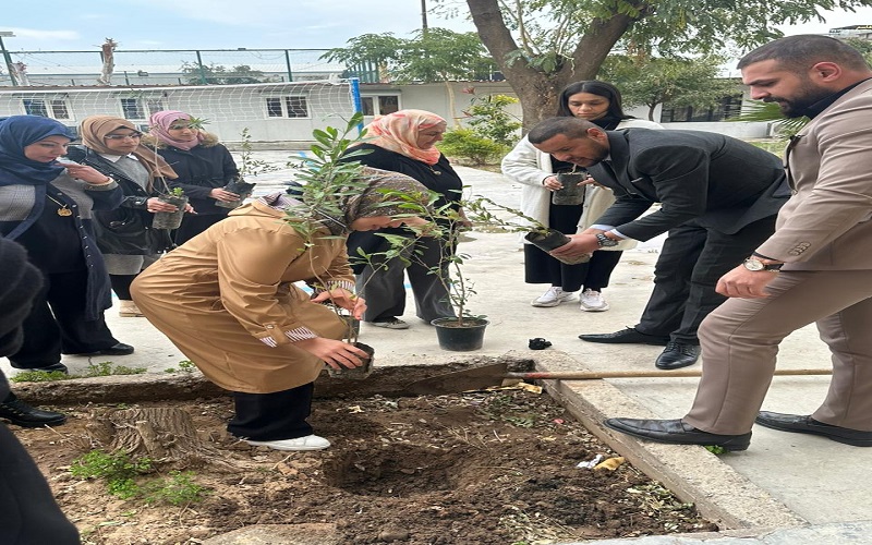 In continuation of the “Plant ” initiative.