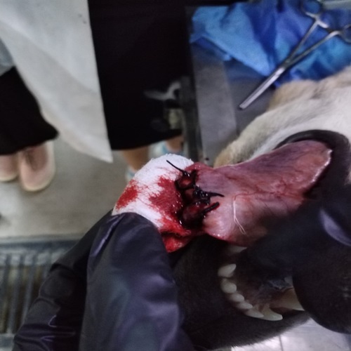 WhatsApp Image 2024 09 10 at 12.13.56 e1f721b7