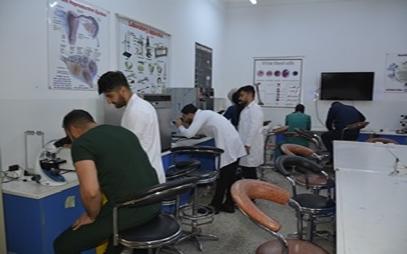 decc0e38 3f1e 4b76 832c 38eb1638f845