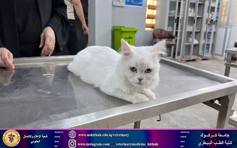 The educational veterinary clinic receives disease cases.