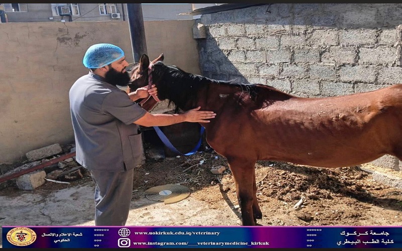 The veterinary teaching clinic receives a sick case