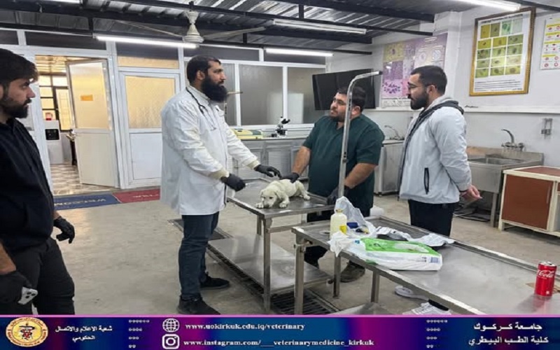 كلية الطب البيطري تستقبل حالة مرضية