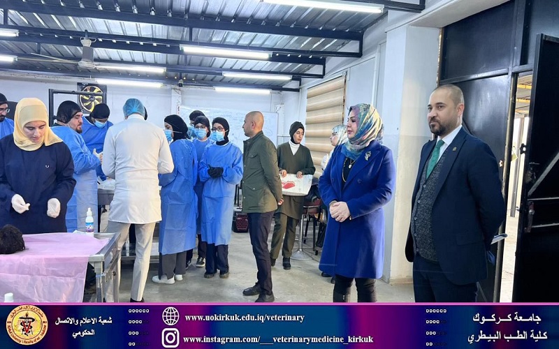 طلبة المرحلة الخامسة يجرون امتحان الجراحة العملي