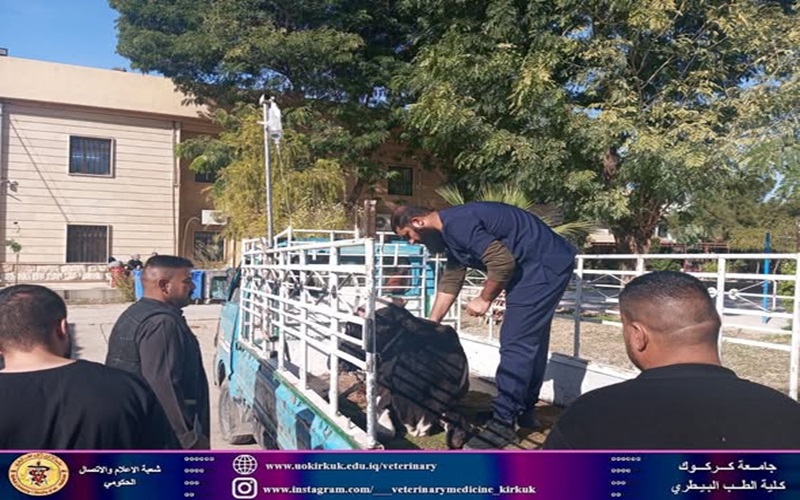 The veterinary teaching clinic receives a patient.