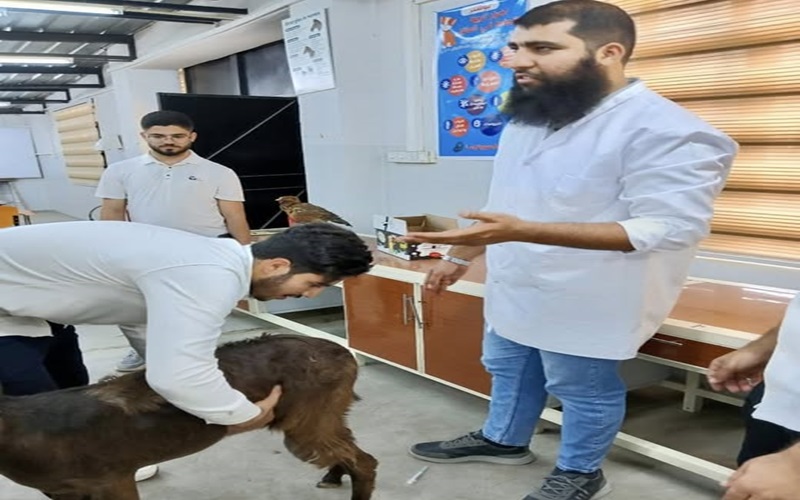 المستوصف البيطري التعليمي يستقبل الحالات المرضية .