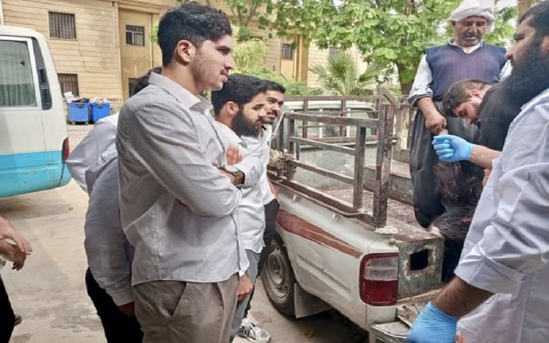 Disease cases continue to arrive at the veterinary teaching clinic 