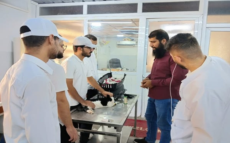 The educational veterinary clinic receives a sick case