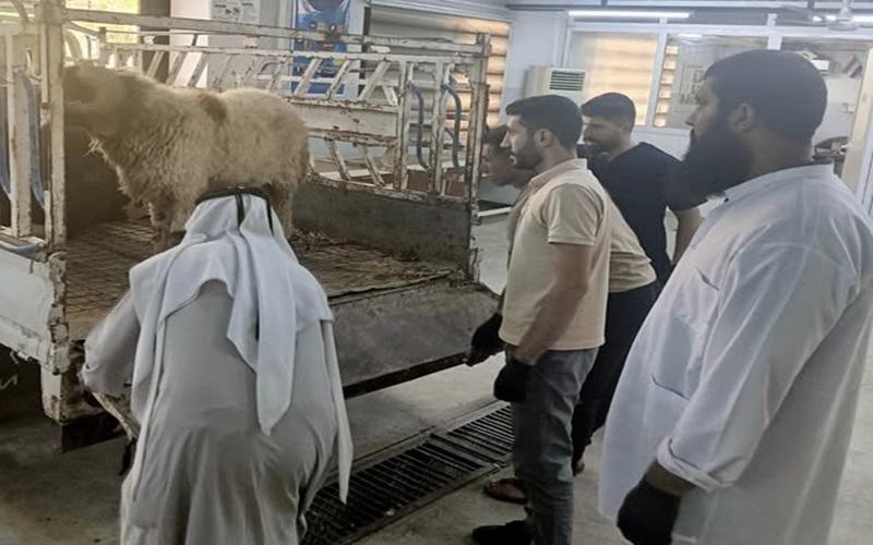 The educational veterinary clinic receives sick cases.