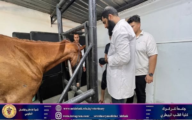 The educational veterinary clinic receives sick cases.