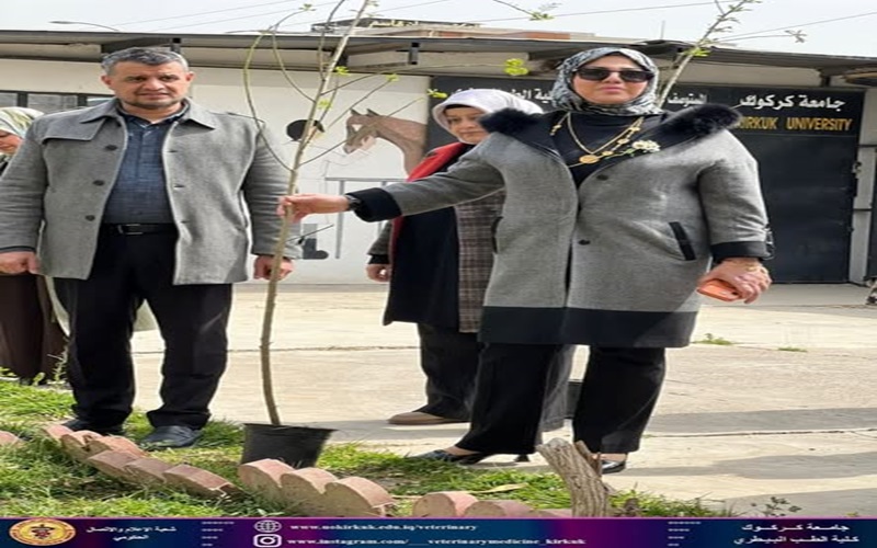 الطب البيطري تطلق حملة تشجير داخل حرم الكلية 