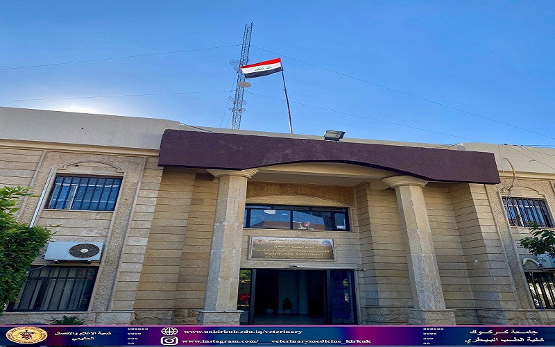 الطب البيطري تجدد سارية العلم العراقي 