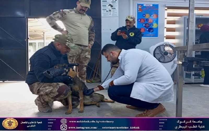 كلية البيطري تجري الكشف الدوري الشهري لكلاب ال K9 .