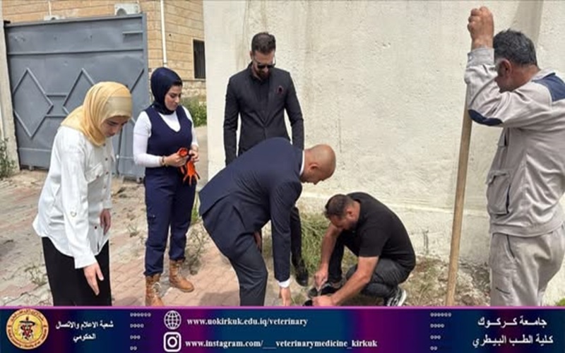 كلية الطب البيطري تطلق حملة لتشجير حدائقها وباحاتها